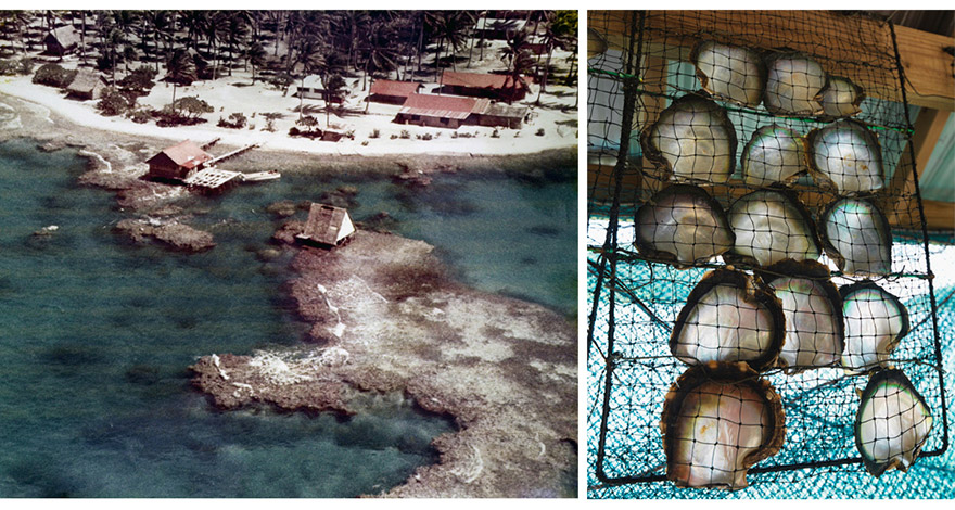 pearl farm
