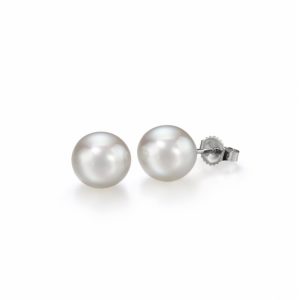 Assael Akoya stud earrings white gold