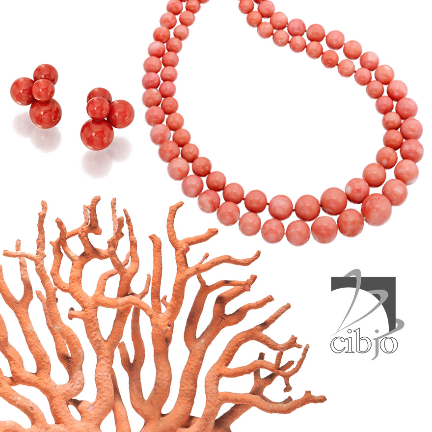 Sourcing Coral Collage