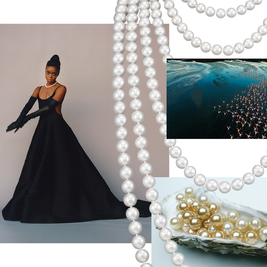 Assael Classic Gem South Sea Pearl Strand, flamingos flocking and flying over ocean water, oyster shell full of pearls, Danielle Deadwyler wearing Assael South Sea pearl strand as seen in W Magazine’s Best Performances Issue #1 2023 © W Mag - photographed by Jamie Hawkesworth, styled by Sara Moonves. 